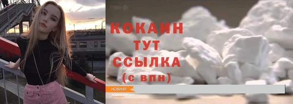 бошки Белокуриха