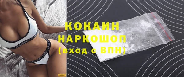 бошки Белокуриха